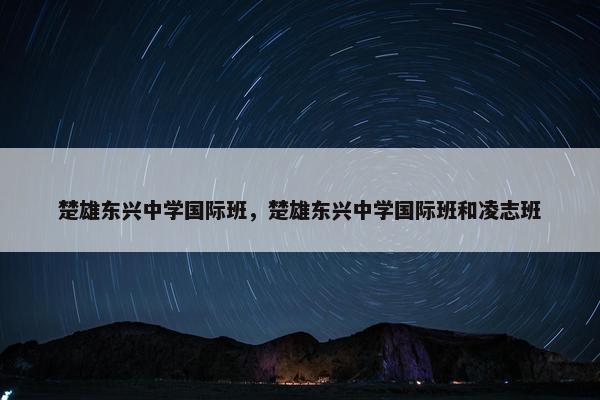 楚雄东兴中学国际班，楚雄东兴中学国际班和凌志班