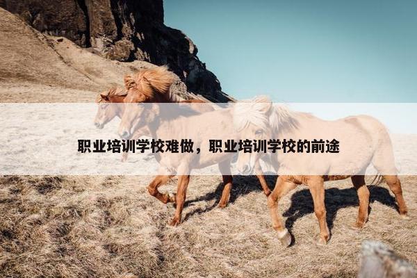 职业培训学校难做，职业培训学校的前途