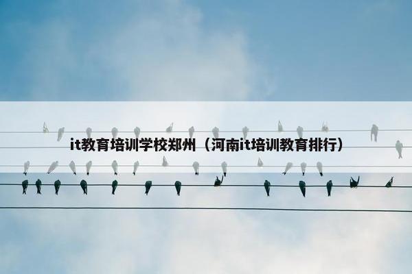 it教育培训学校郑州（河南it培训教育排行）