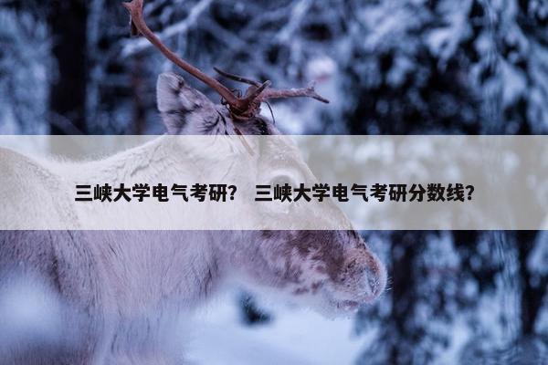三峡大学电气考研？ 三峡大学电气考研分数线？