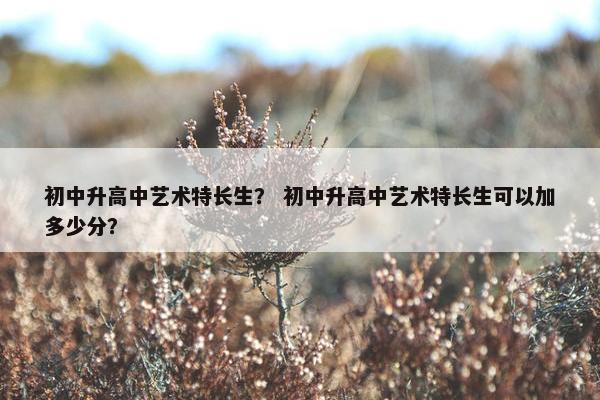 初中升高中艺术特长生？ 初中升高中艺术特长生可以加多少分？