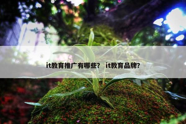 it教育推广有哪些？ it教育品牌？