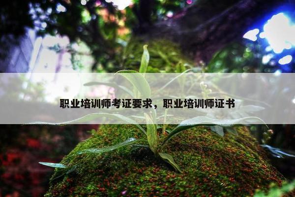 职业培训师考证要求，职业培训师证书