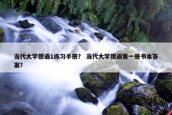 当代大学德语1练习手册？ 当代大学德语第一册书本答案？
