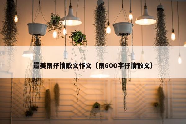 最美雨抒情散文作文（雨600字抒情散文）