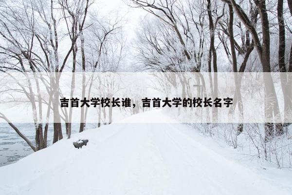 吉首大学校长谁，吉首大学的校长名字