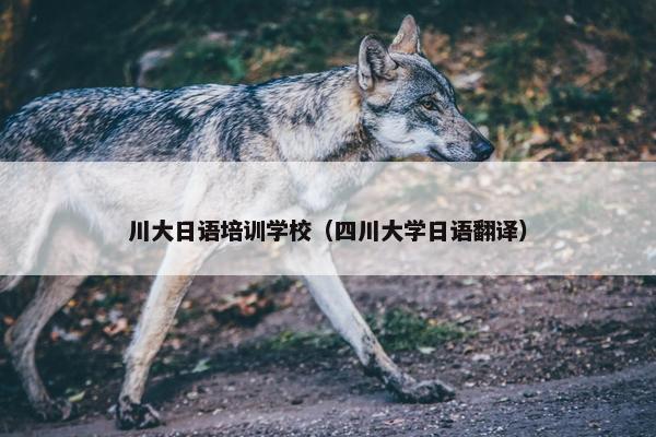 川大日语培训学校（四川大学日语翻译）