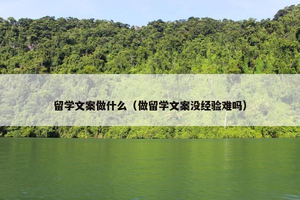 留学文案做什么（做留学文案没经验难吗）