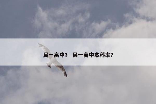 民一高中？ 民一高中本科率？