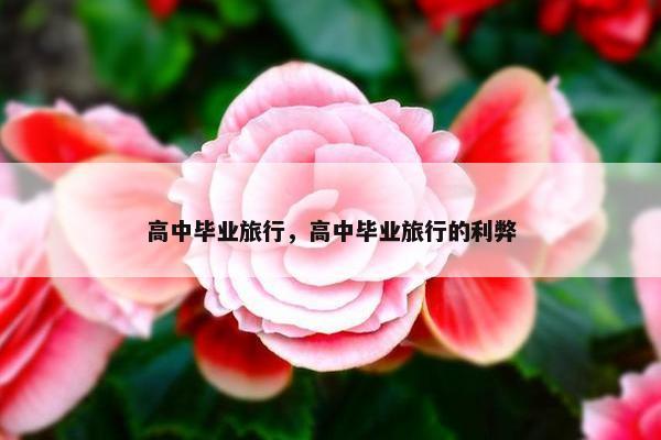 高中毕业旅行，高中毕业旅行的利弊