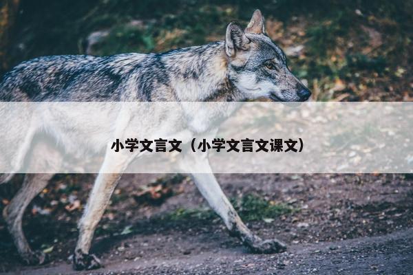 小学文言文（小学文言文课文）