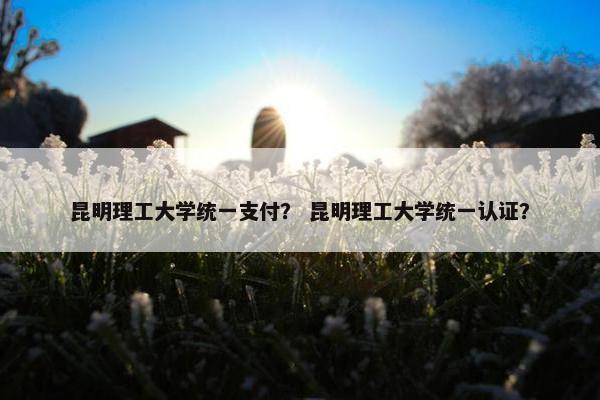 昆明理工大学统一支付？ 昆明理工大学统一认证？