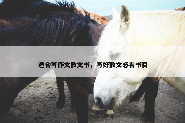 适合写作文散文书，写好散文必看书目