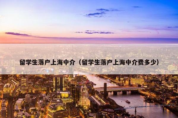 留学生落户上海中介（留学生落户上海中介费多少）