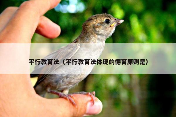 平行教育法（平行教育法体现的德育原则是）