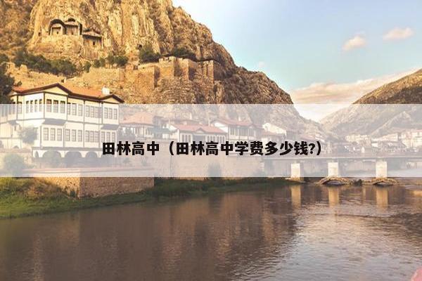 田林高中（田林高中学费多少钱?）