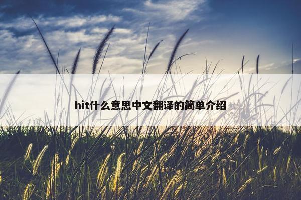 hit什么意思中文翻译的简单介绍