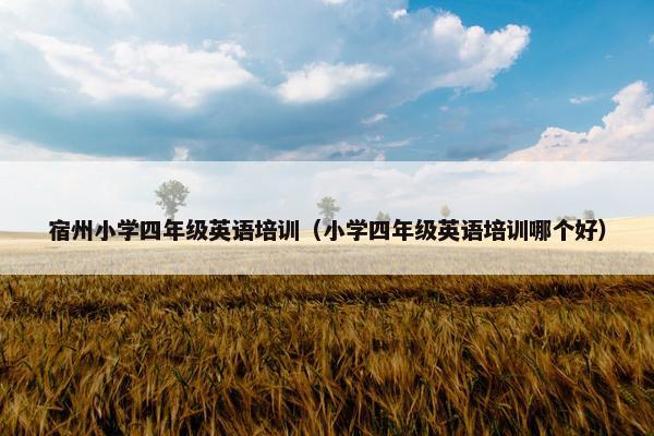 宿州小学四年级英语培训（小学四年级英语培训哪个好）