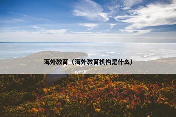 海外教育（海外教育机构是什么）