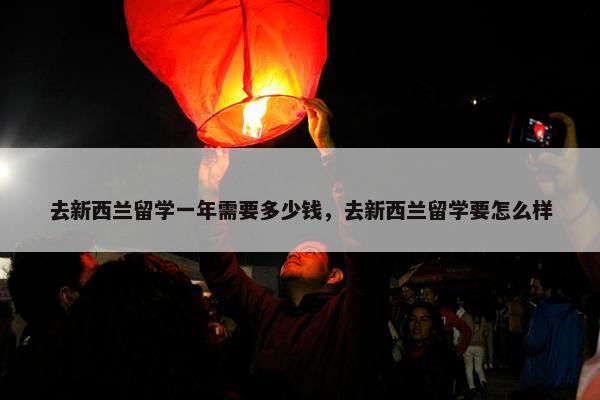 去新西兰留学一年需要多少钱，去新西兰留学要怎么样