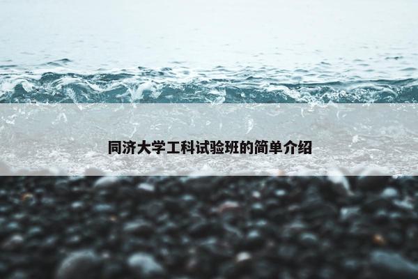 同济大学工科试验班的简单介绍