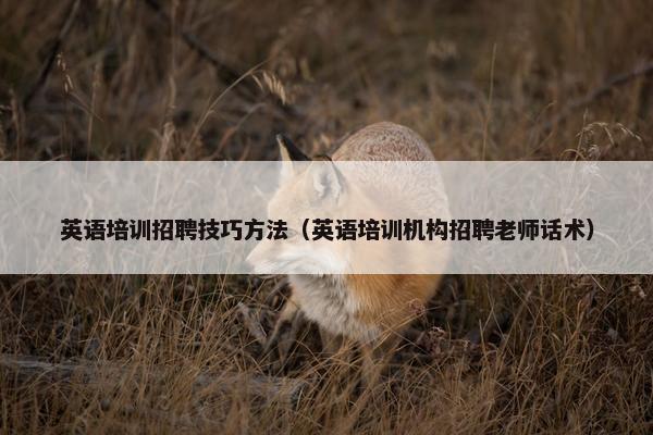 英语培训招聘技巧方法（英语培训机构招聘老师话术）
