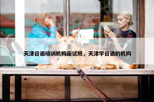 天津日语培训机构面试班，天津学日语的机构