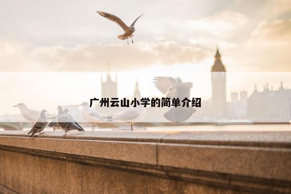 广州云山小学的简单介绍
