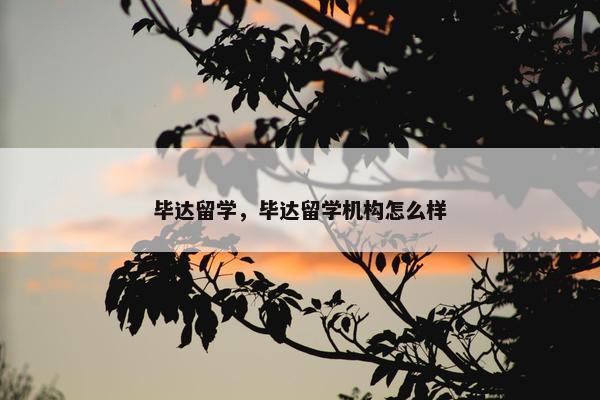 毕达留学，毕达留学机构怎么样
