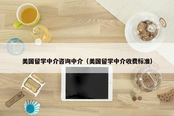 美国留学中介咨询中介（美国留学中介收费标准）