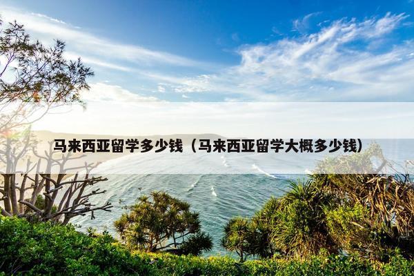 马来西亚留学多少钱（马来西亚留学大概多少钱）