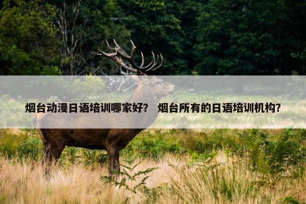烟台动漫日语培训哪家好？ 烟台所有的日语培训机构？