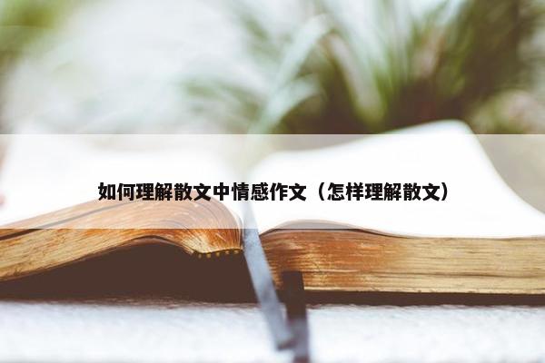 如何理解散文中情感作文（怎样理解散文）