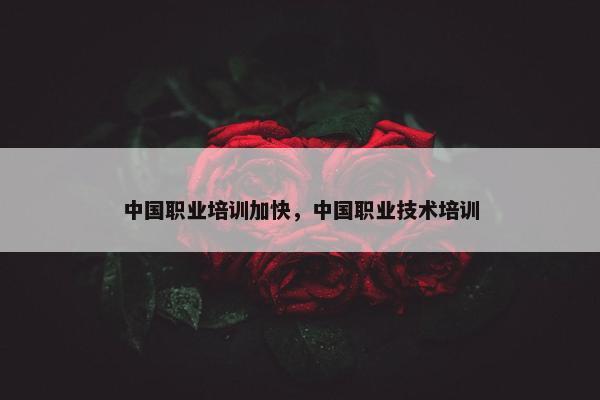 中国职业培训加快，中国职业技术培训
