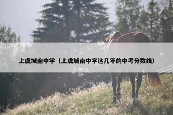 上虞城南中学（上虞城南中学这几年的中考分数线）
