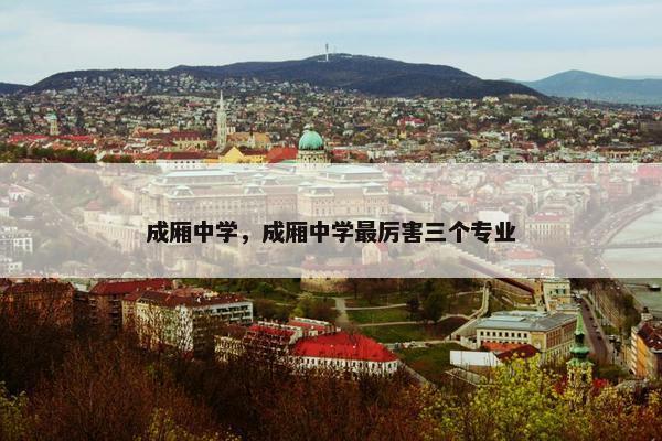 成厢中学，成厢中学最厉害三个专业
