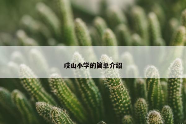 岐山小学的简单介绍
