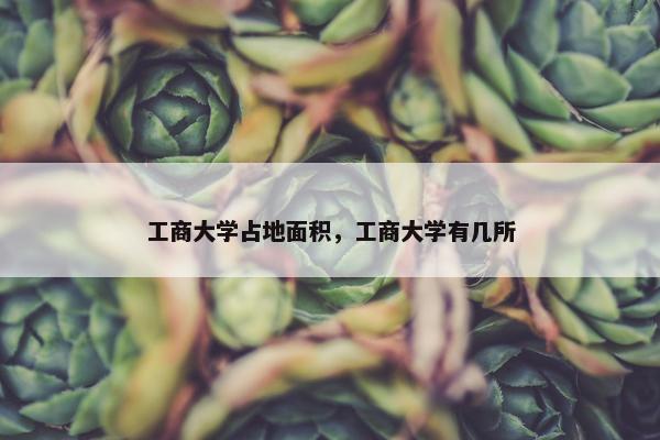 工商大学占地面积，工商大学有几所