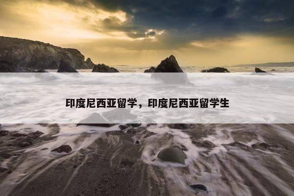 印度尼西亚留学，印度尼西亚留学生