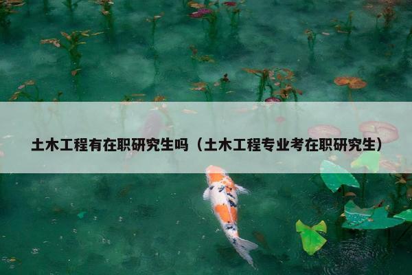 土木工程有在职研究生吗（土木工程专业考在职研究生）