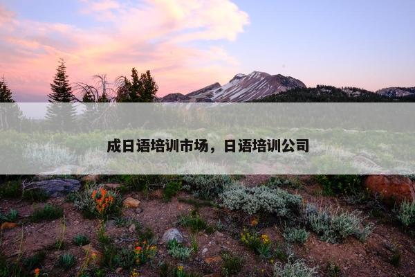 成日语培训市场，日语培训公司