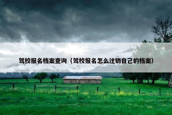 驾校报名档案查询（驾校报名怎么注销自己的档案）