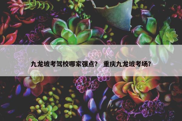 九龙坡考驾校哪家强点？ 重庆九龙坡考场？