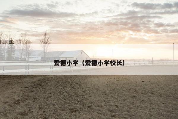 爱德小学（爱德小学校长）