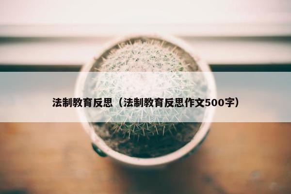 法制教育反思（法制教育反思作文500字）