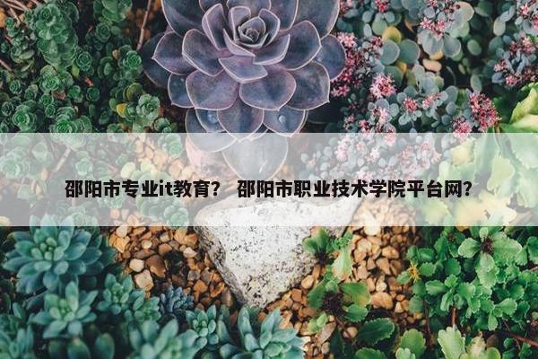 邵阳市专业it教育？ 邵阳市职业技术学院平台网？
