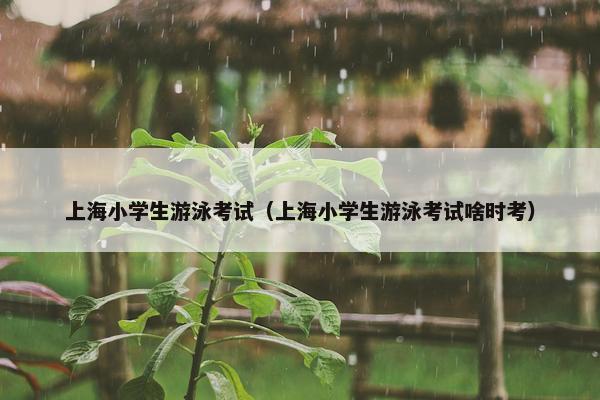 上海小学生游泳考试（上海小学生游泳考试啥时考）