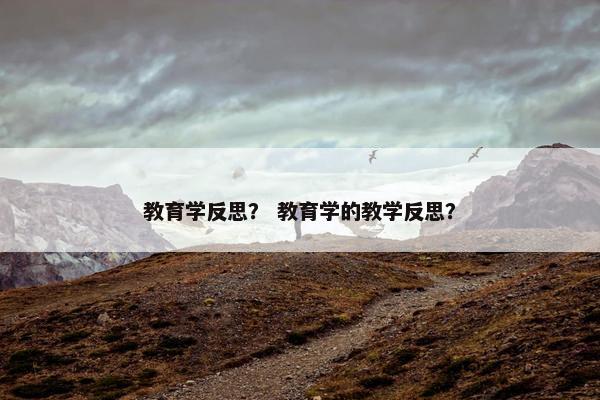 教育学反思？ 教育学的教学反思？