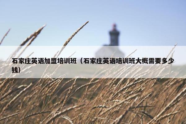 石家庄英语加盟培训班（石家庄英语培训班大概需要多少钱）