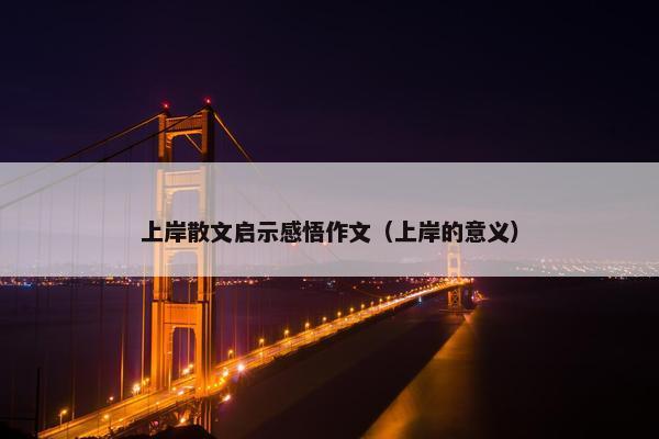 上岸散文启示感悟作文（上岸的意义）